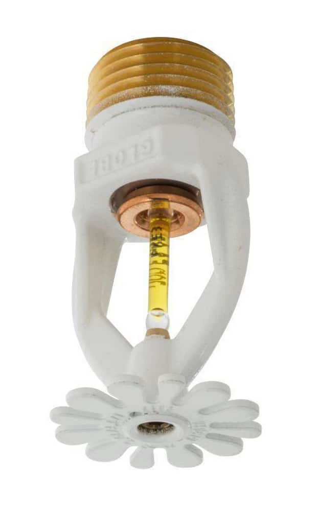 Budget โจ Globe Fire Sprinkler Corporation GL Series 155F Residential Pendent Sprinkler Head ๐ 3 Budget โจ Globe Fire Sprinkler Corporation GL Series 155F Residential Pendent Sprinkler Head ๐