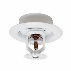 Best Pirce 🔥 TYCO TY4234 3/4 Brass LFII 155 Residential Pendent Sprinkler Head 🤩